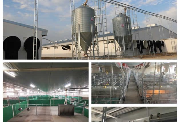 pig-farming-equipment-supplier